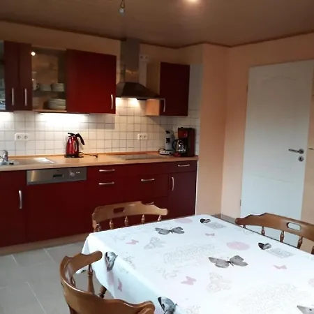 In Rheindiebach Mit Grill Und Garten Apartment *